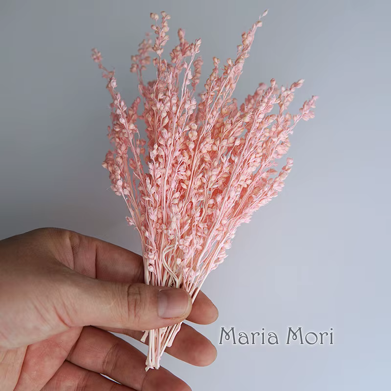 10g/Coloré Fleurs de maïs séchées blanchies