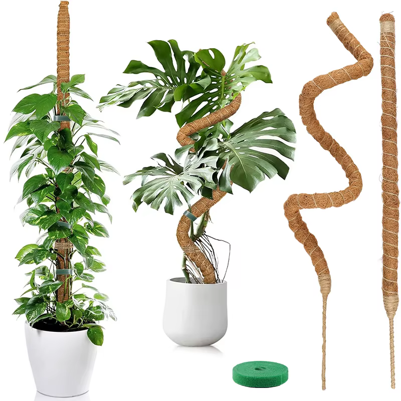 Supports pliables pour plantes grimpantes