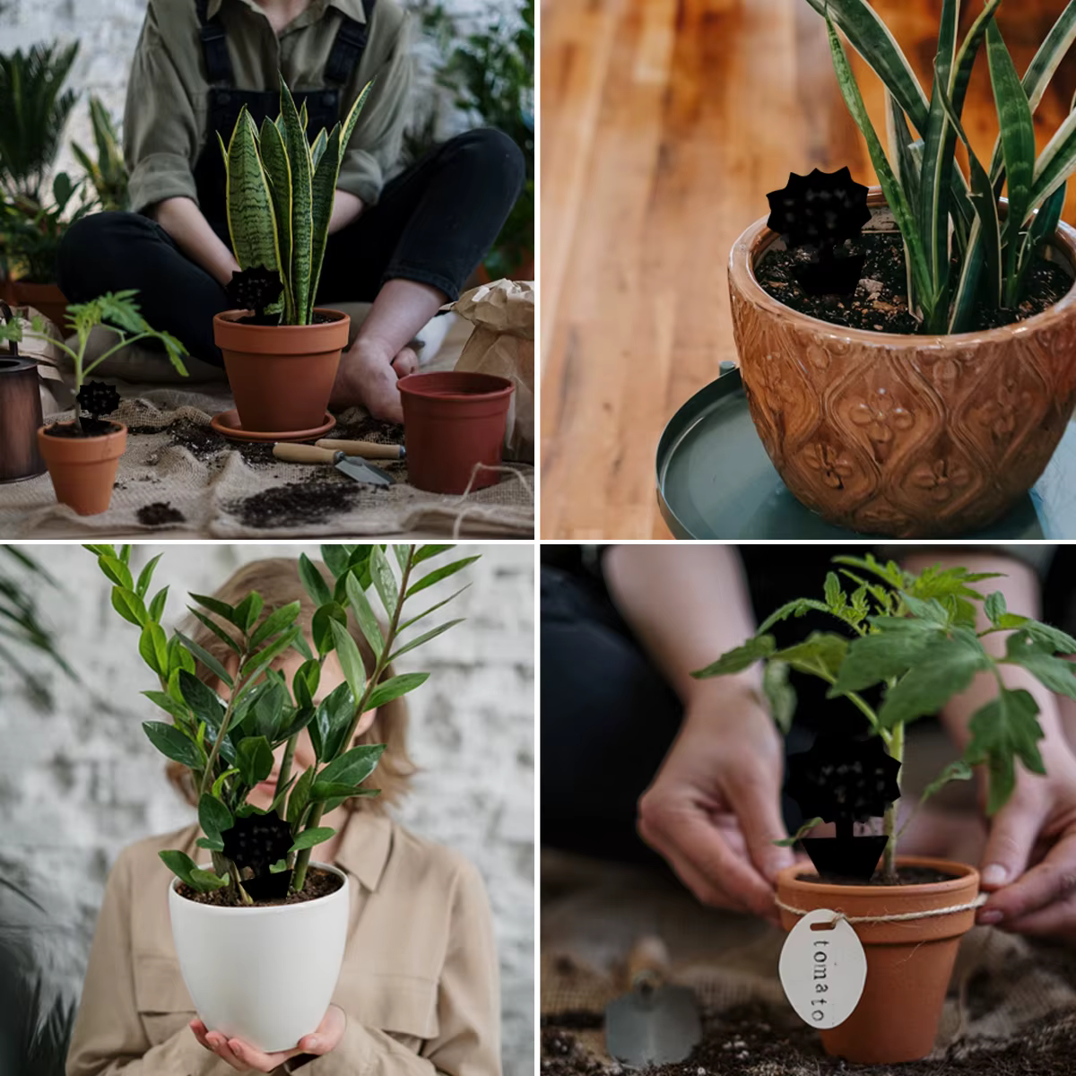 Papier collant imperméable pour plantes en pot