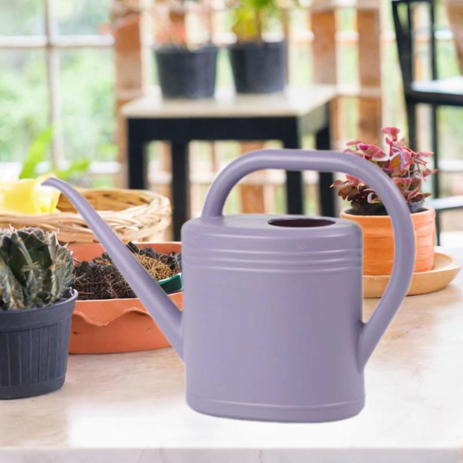 Arrosoir pour plantes avec tête d'arrosage