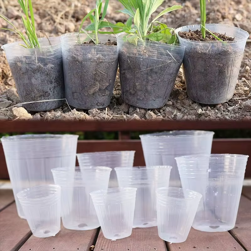 Pot de fleurs Transparent pour plantes