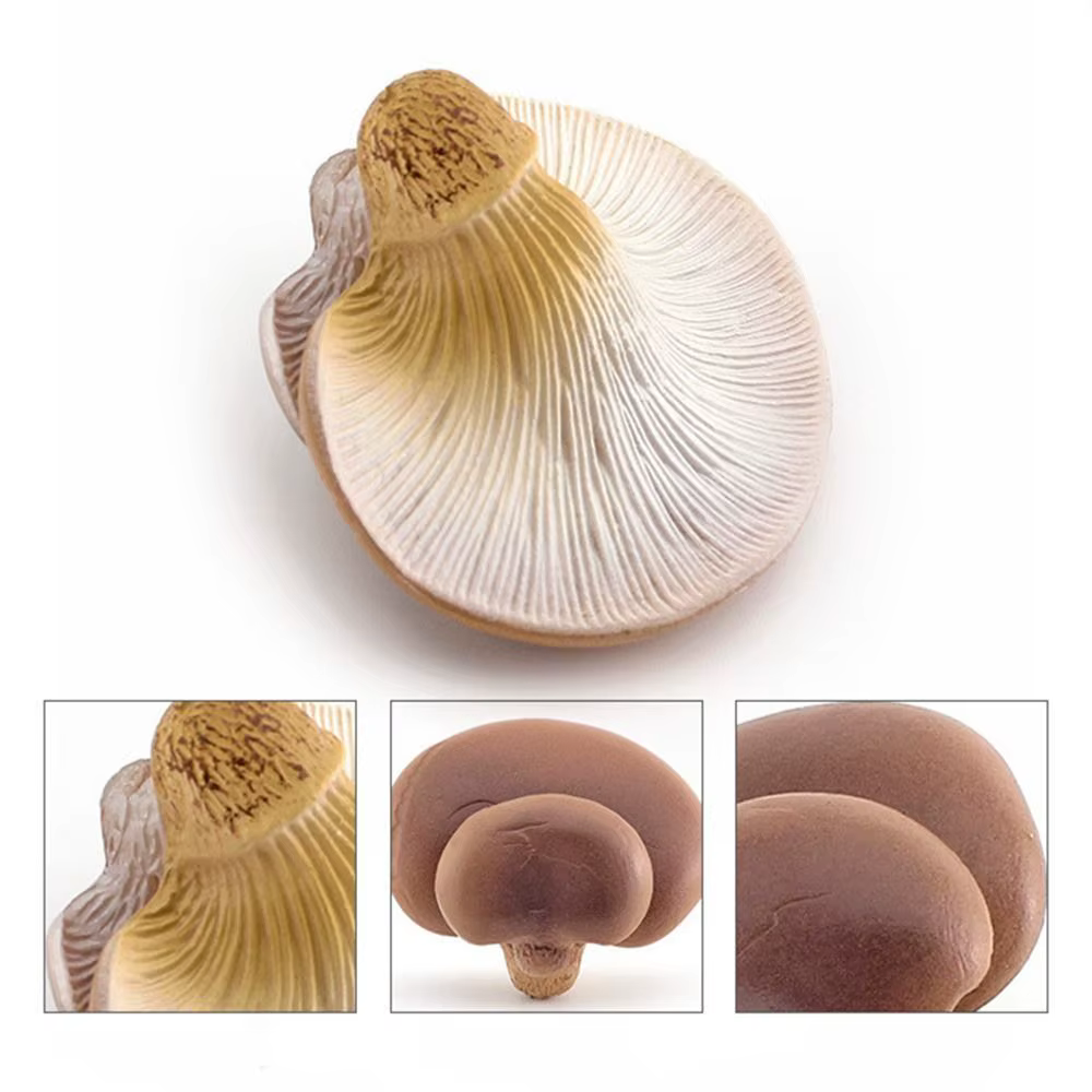Figurines de champignons modèle végétal Matsutake Oyste Simulation artificielle champignon Pleurotus plante