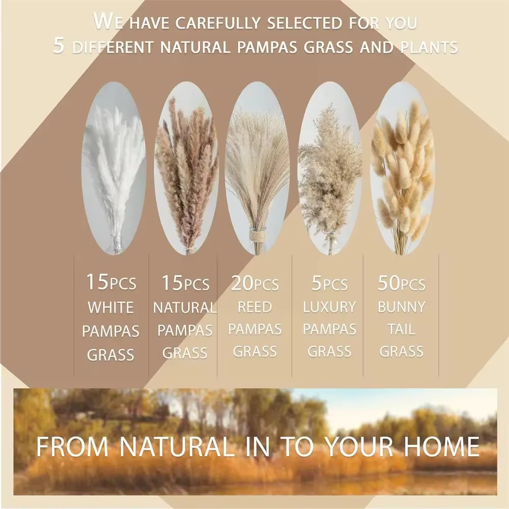 105 pièces fleurs séchées naturelles Pampas Bouquet Floral Boho pays décoration de la maison queue de lapin herbe Reed décor de mariage Arrangement