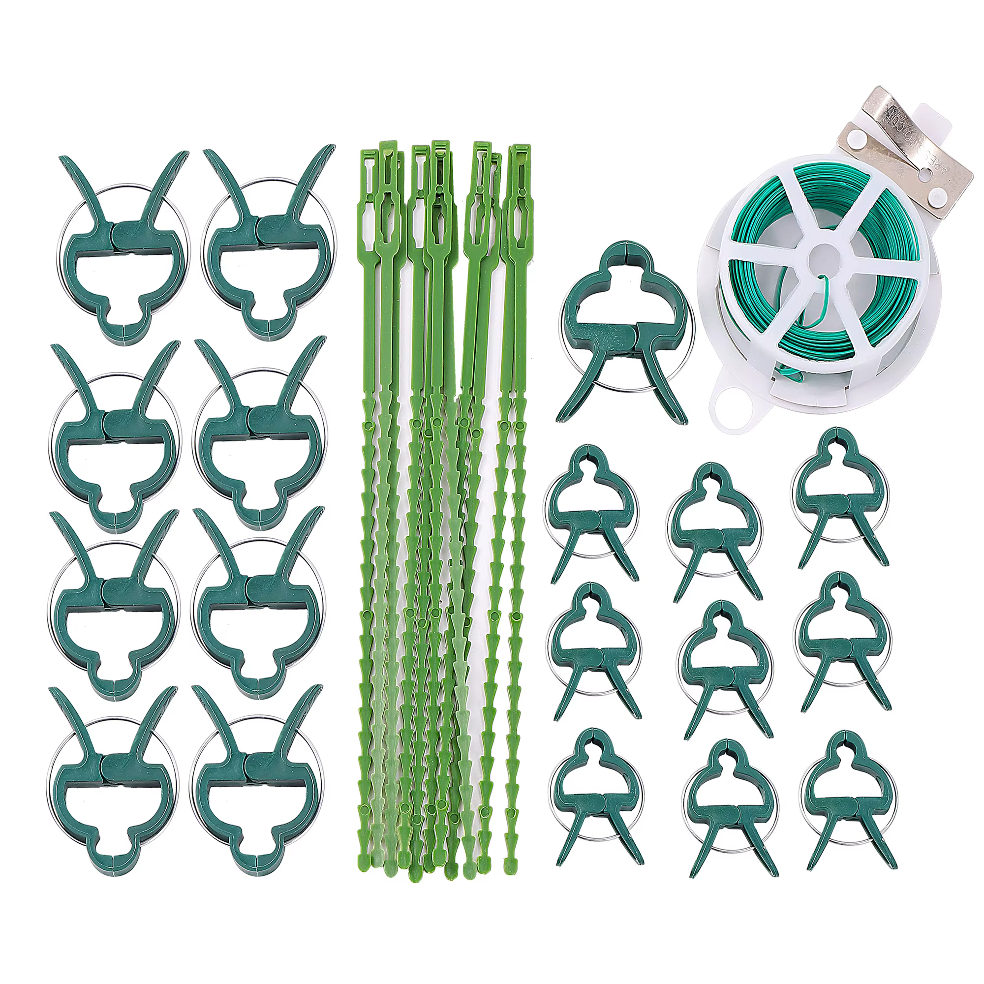 Plante de jardin grimpante avec clip