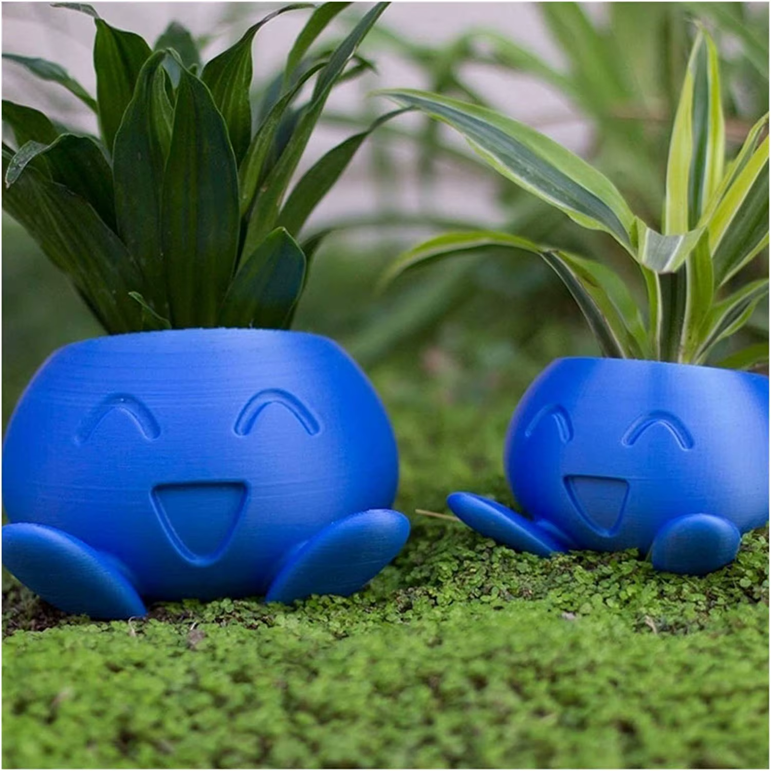 Jardinière étrange Pot de fleur
