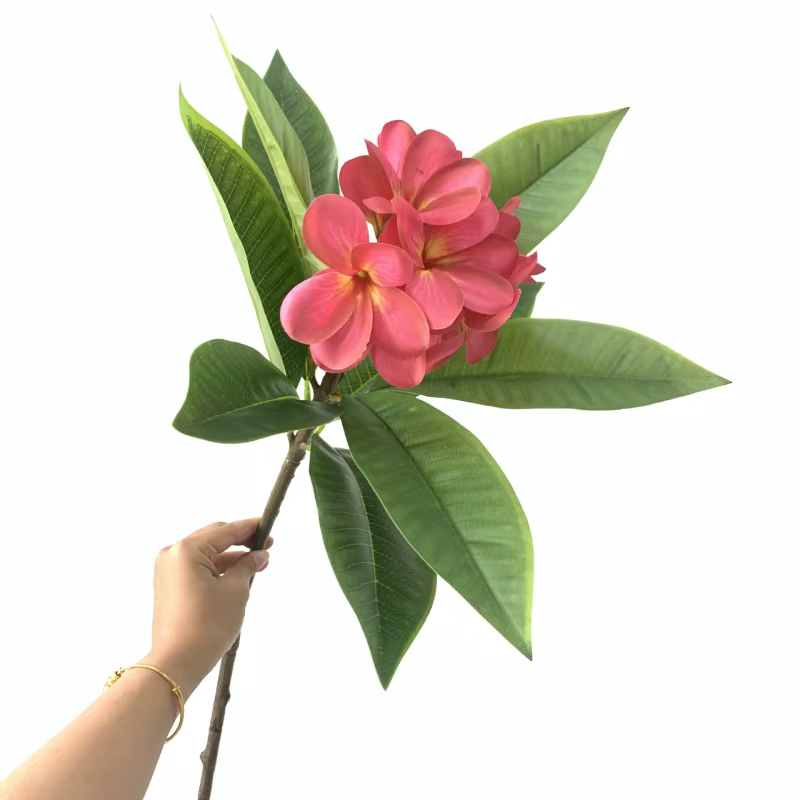Impression 3D Main Sensation Frangipanier Fleurs Branche