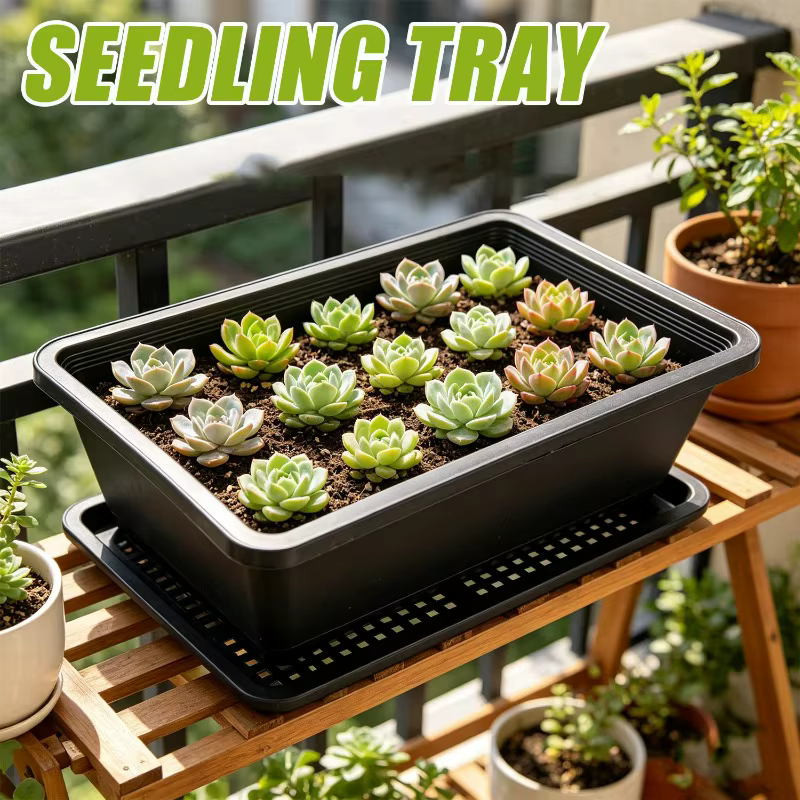 5/1 Pièces Plateau de culture pour plantes