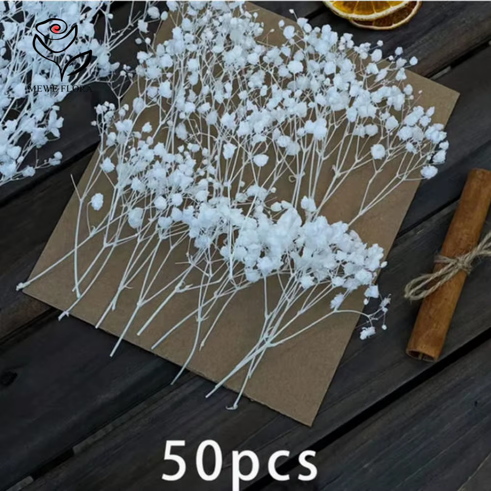 Lot de 50 mini-bouquets de fleurs séchées Gypsophile blanches