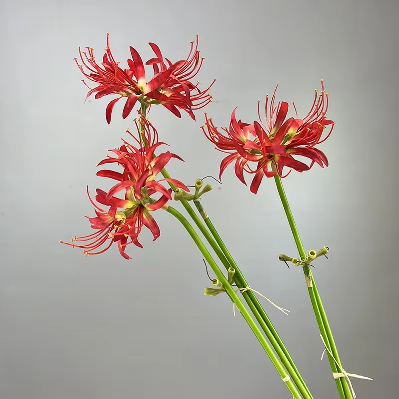 Simulation de fleurs de rivage artificielles