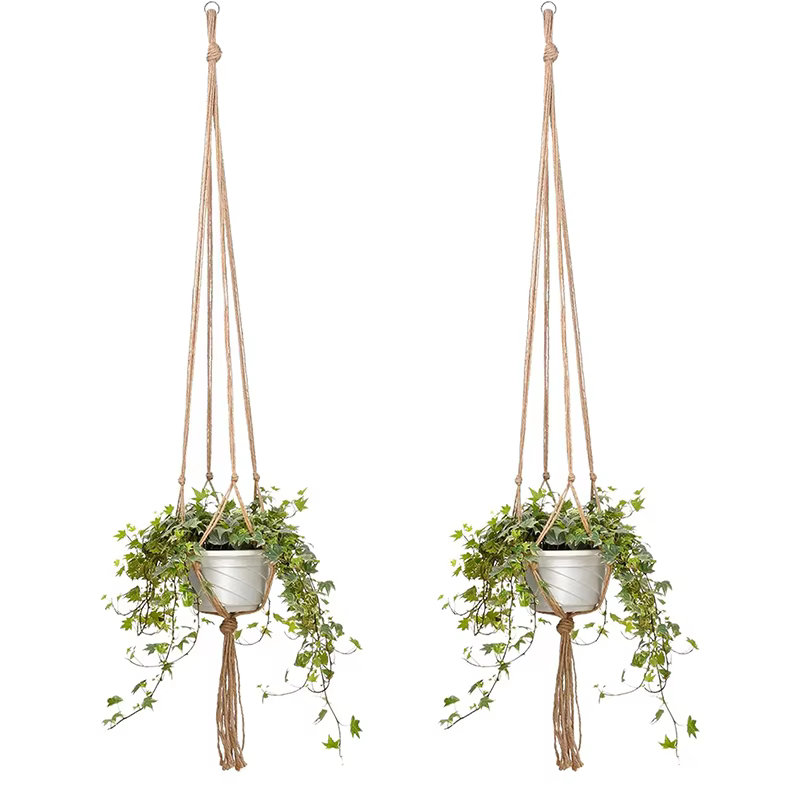 Pot de plantes suspendu