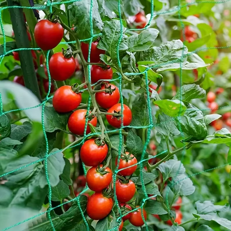 Filet d'escalade pour plantes