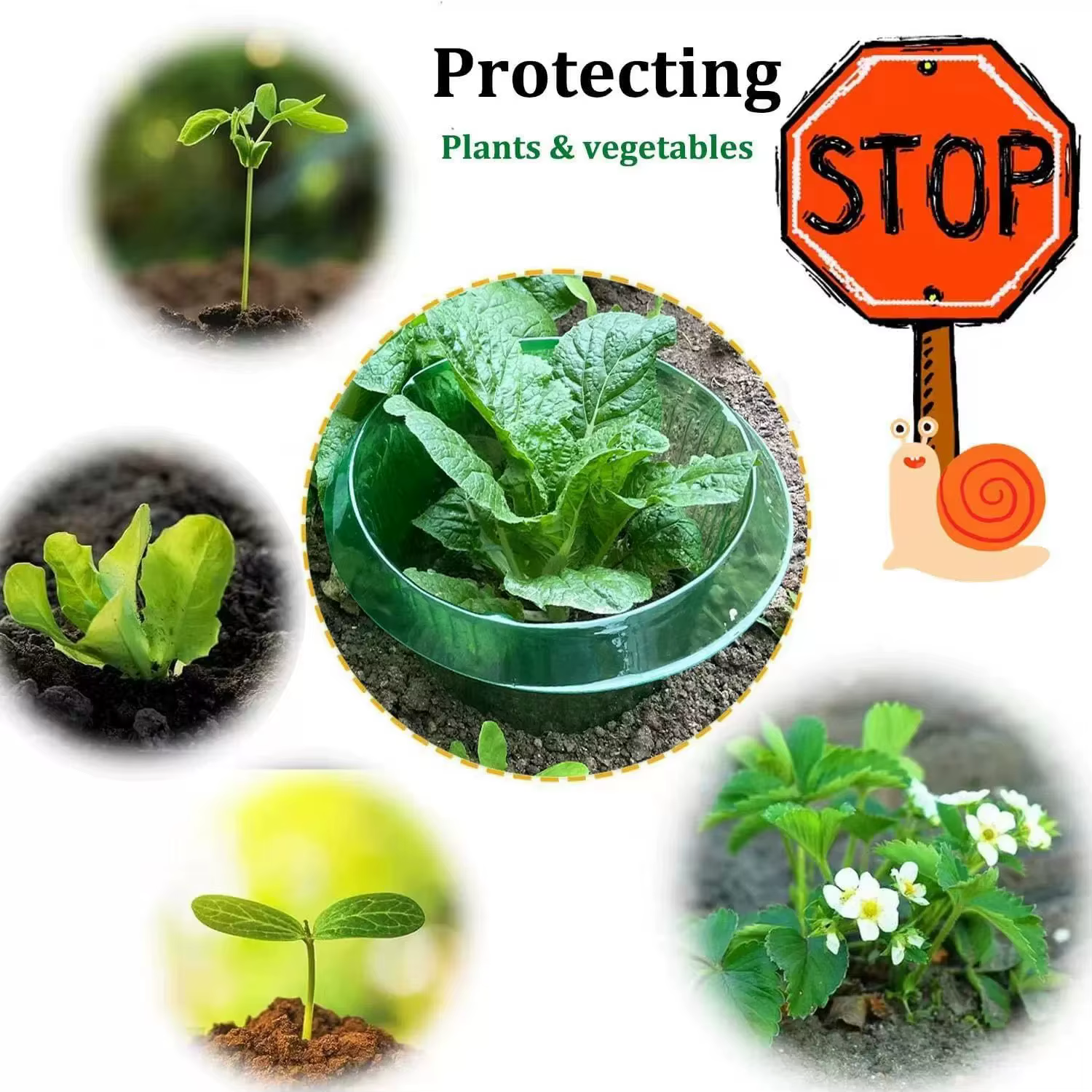 5-30 pièces Anneaux de protection contre les limaces pour plantes