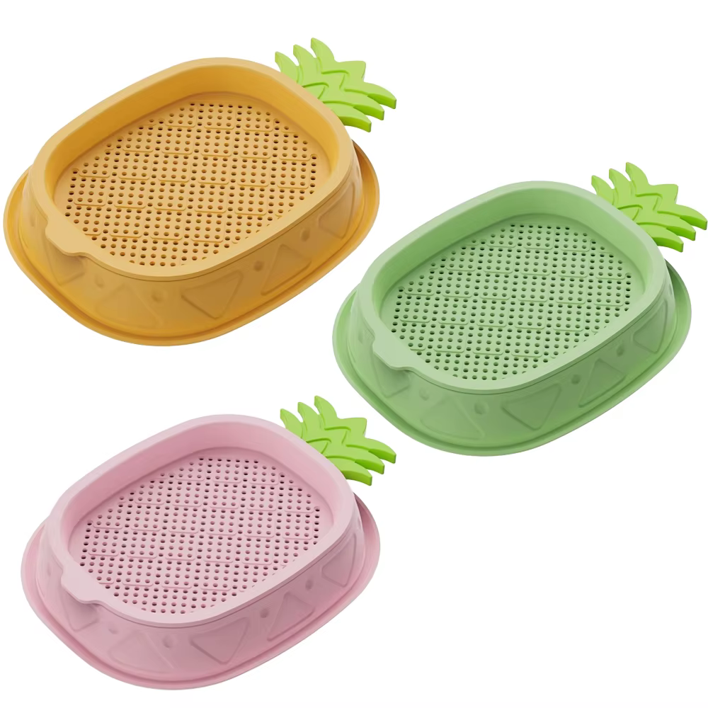 Jardinière hydroponique d'herbe pour chat