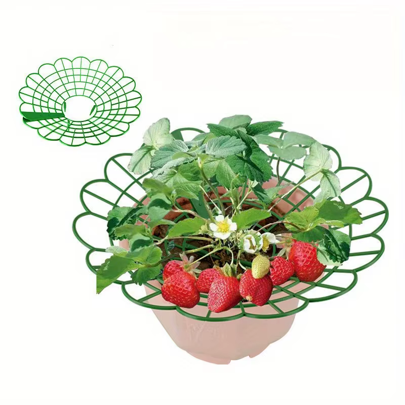 Supports pour plantes de fraises avec trois pieds robustes