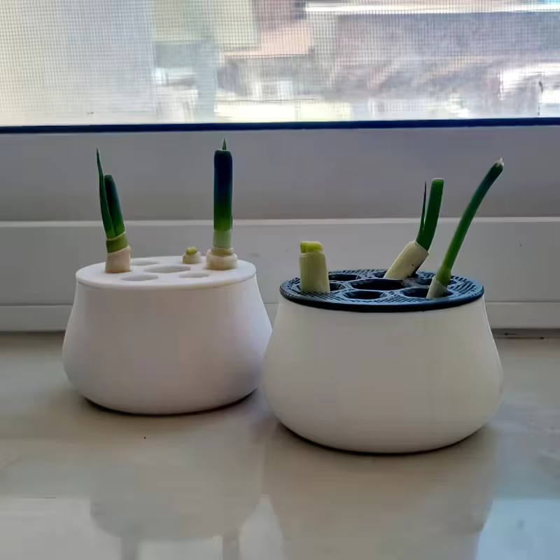 Pot de reproduction d'oignons verts imprimé en 3D – Station de propagation hydroponique pour jardinage intérieur et domestique