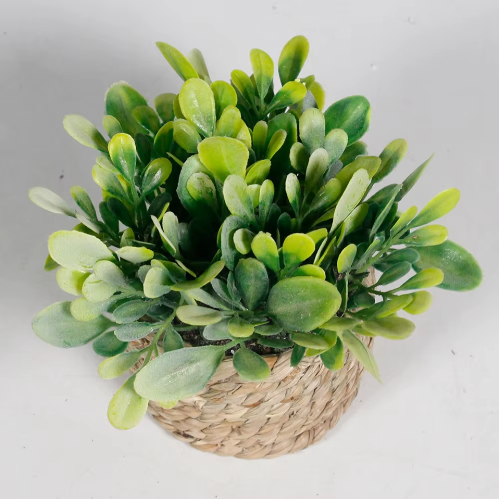 Plante artificielle verte en pot