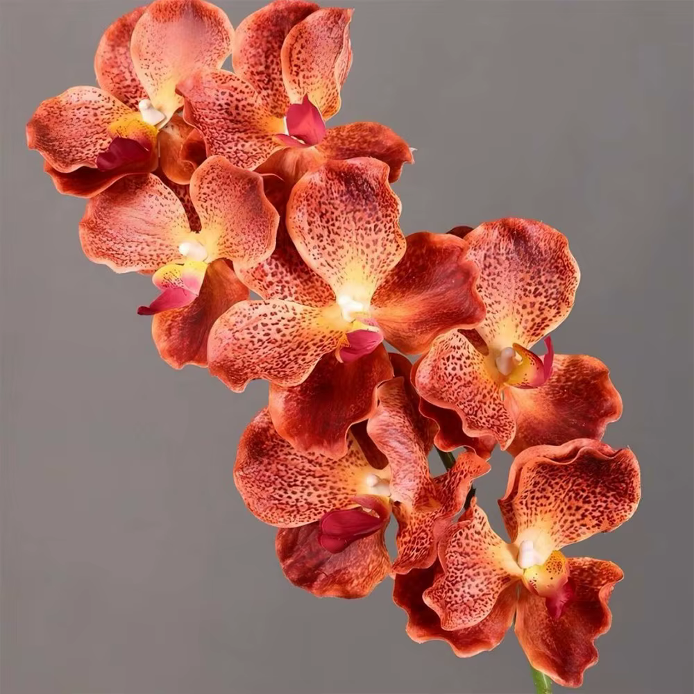 Orchidée Vanda Artificielle de 80 CM en Plastique