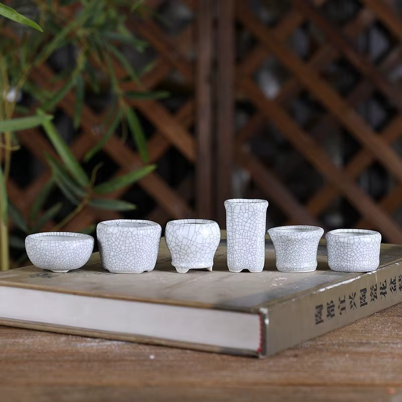 8 pièces de mini-pots de fleurs en céramique