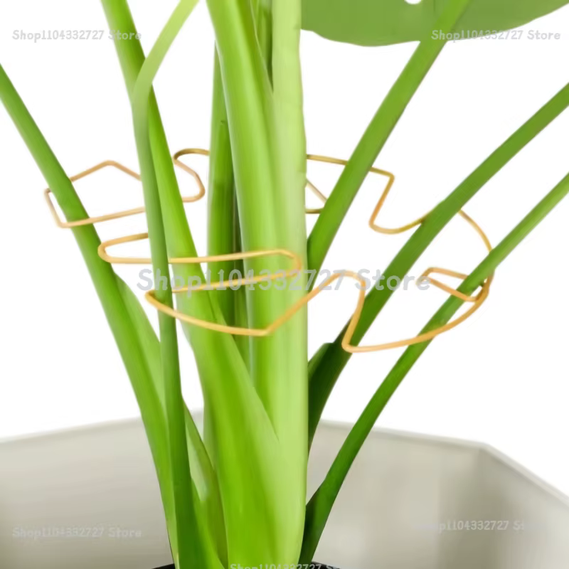 Support pour plantes hautes