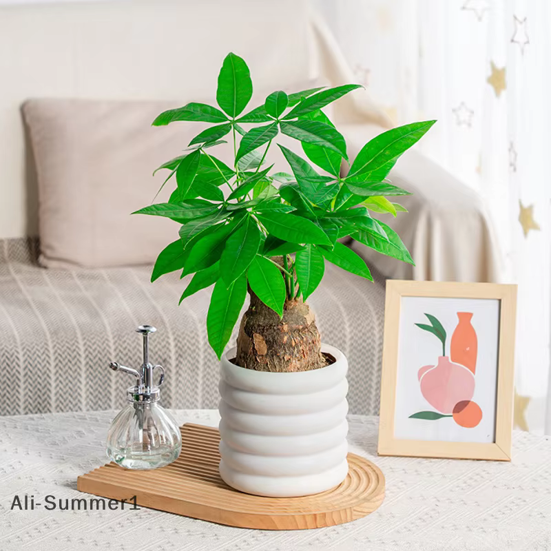 Pot de fleur en plastique semblable à une porcelaine