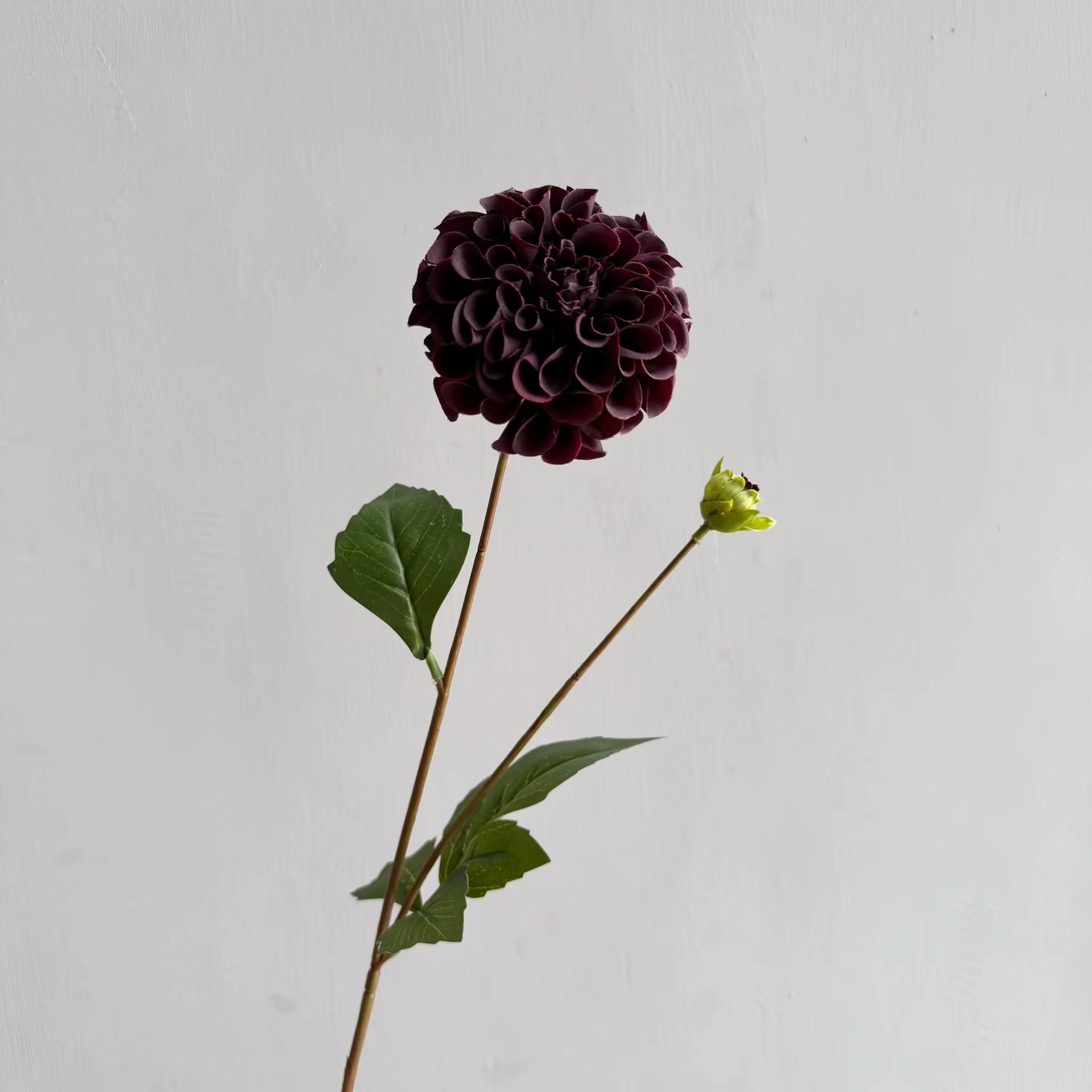 Lot de 5 fleurs artificielles hydratantes Dahlia à 2 têtes