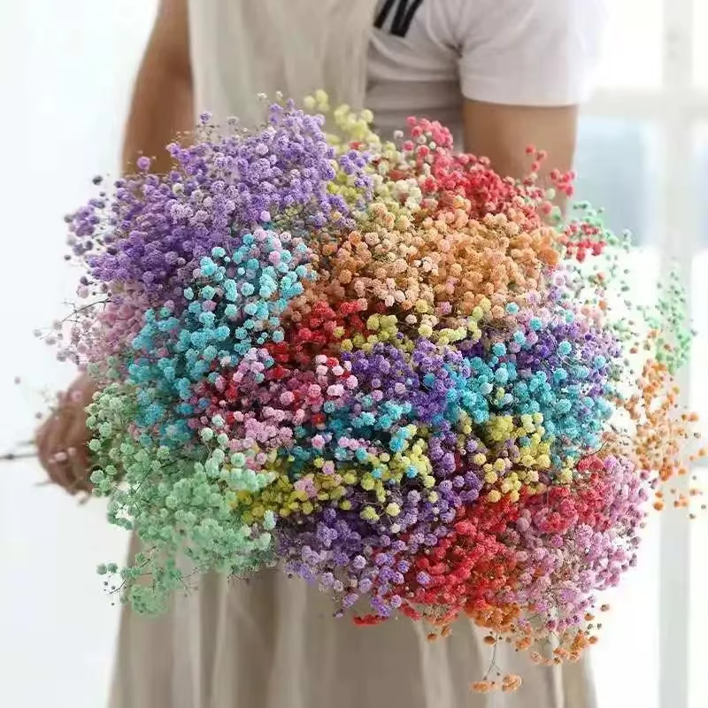 100g fleurs séchées souffle de bébé