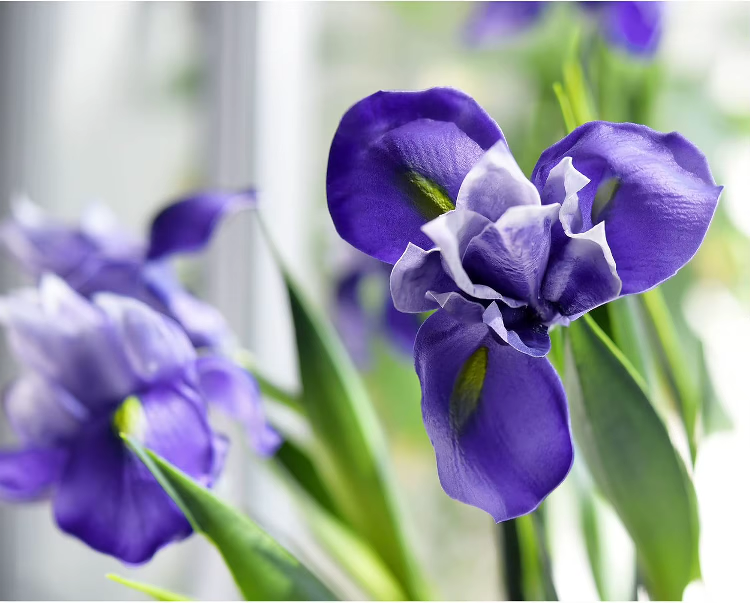 Fleurs d'iris artificielles pour mariage
