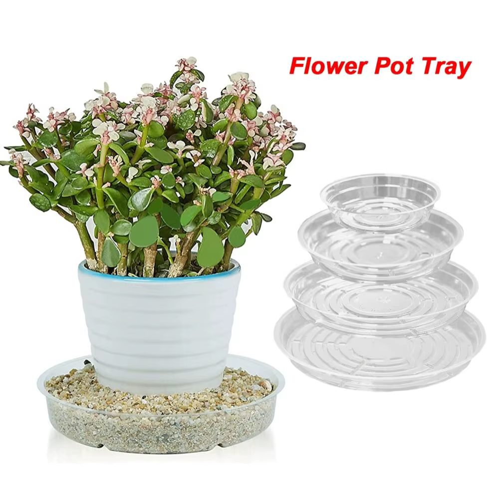 Plateaux en plastique pour plantes d'intérieur