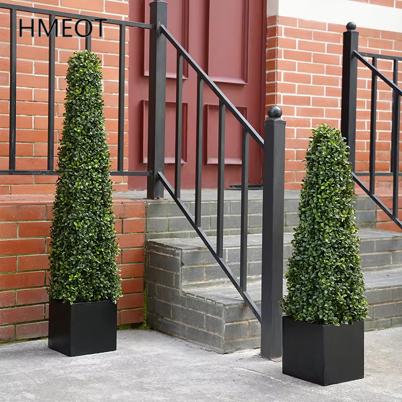Plantes vertes en pot de cuir chevelu Milan Él