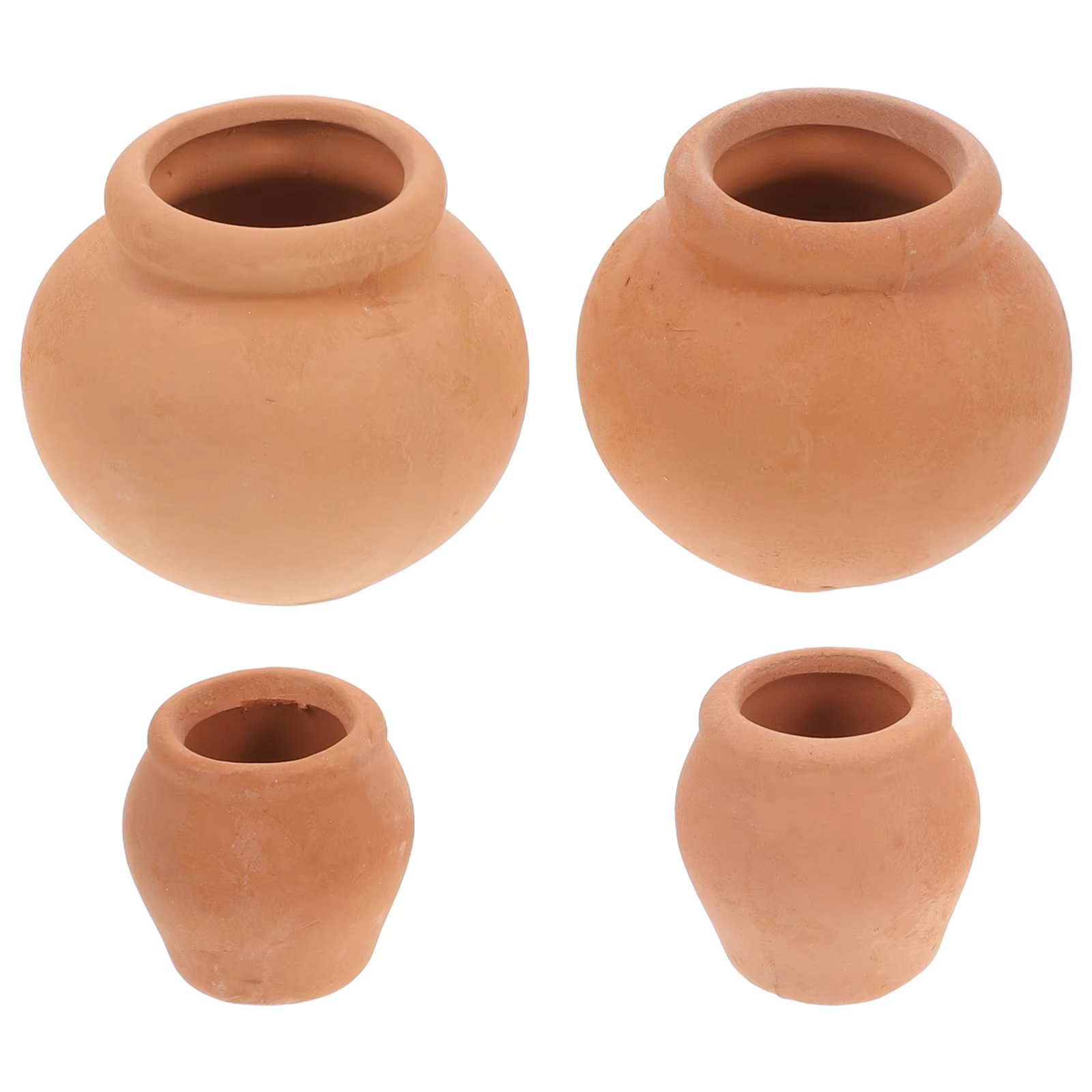 Pot de fleurs succulentes