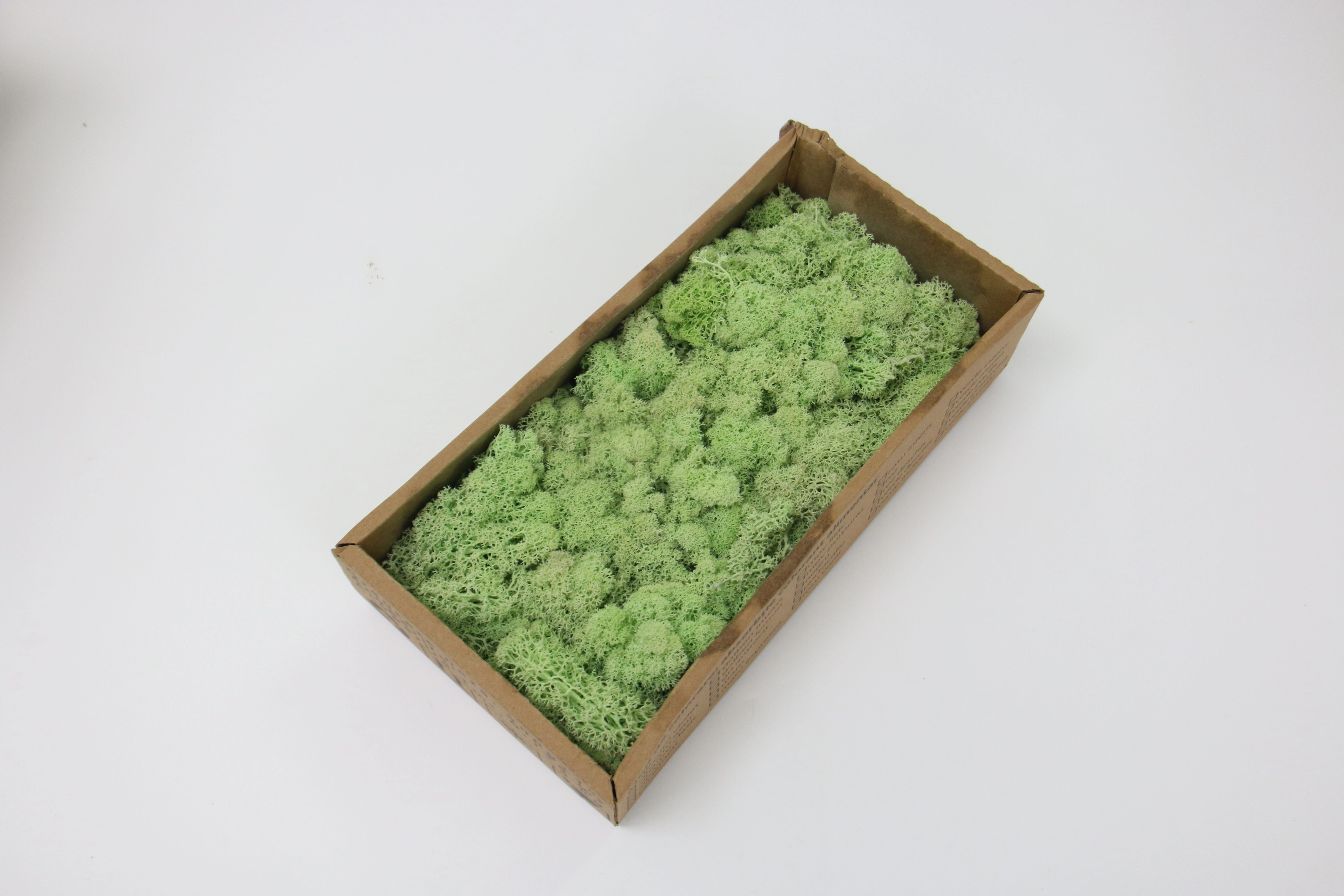 Nouveau 1000g plantes artificielles vie éternelle mousse/jardin décor à la maison mur bricolage fleur matériel Mini jardin Micro paysage faux mousse