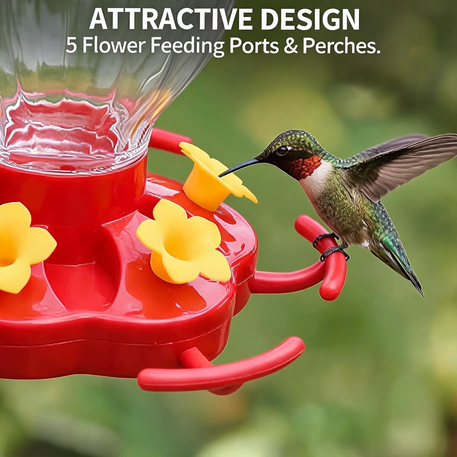 Mangeoire pour colibris de 8 oz, distributeur d'eau suspendu pour cour extérieure avec 5 ports floraux et perchoirs pour jardin