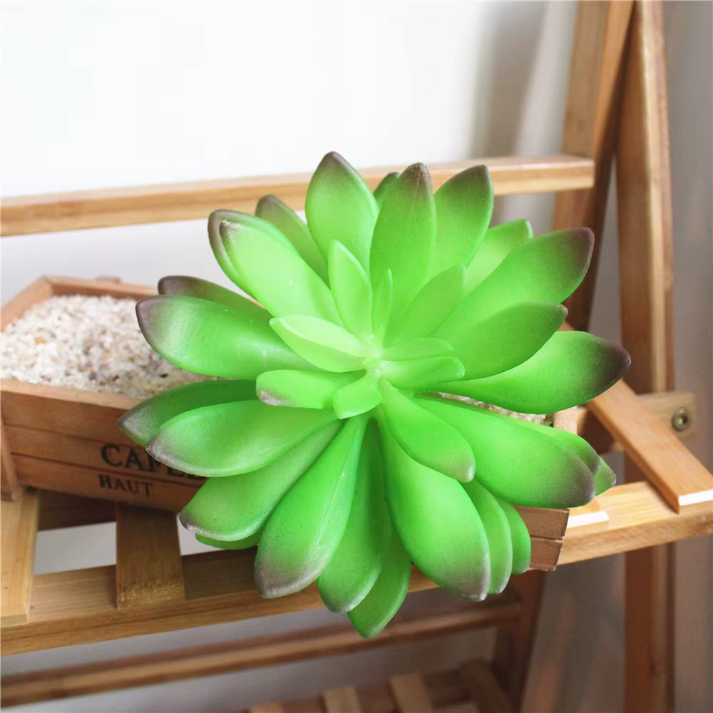 Tête de fleur de Lotus vert rouge