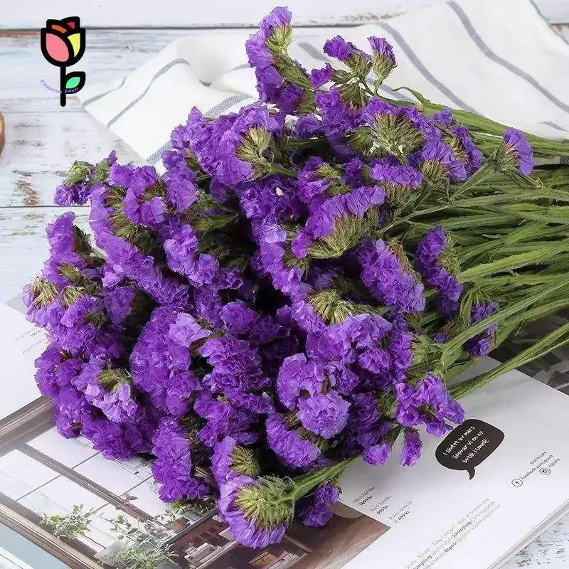 120g fleurs séchées naturelles oubliez-moi pas Bouquets décoration de mariage