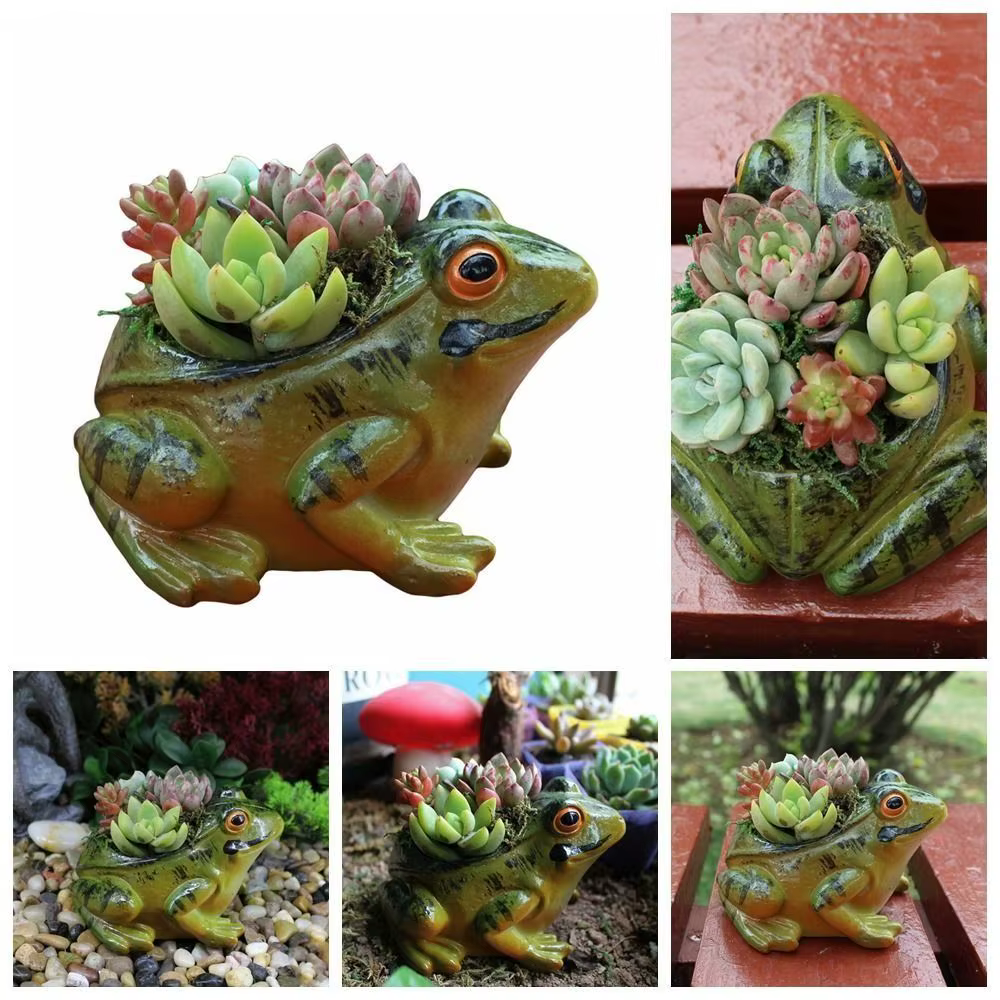Pots de plantes succulentes grenouille en résine créative