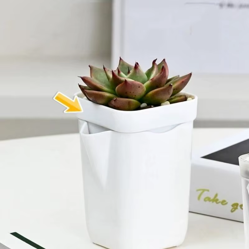 Pots auto-arrosants, pots de pépinière avec trous de drainage