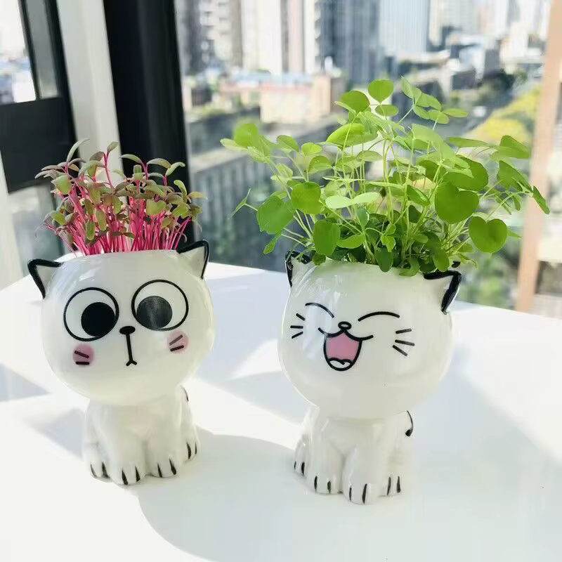 Pot de fleurs en céramique