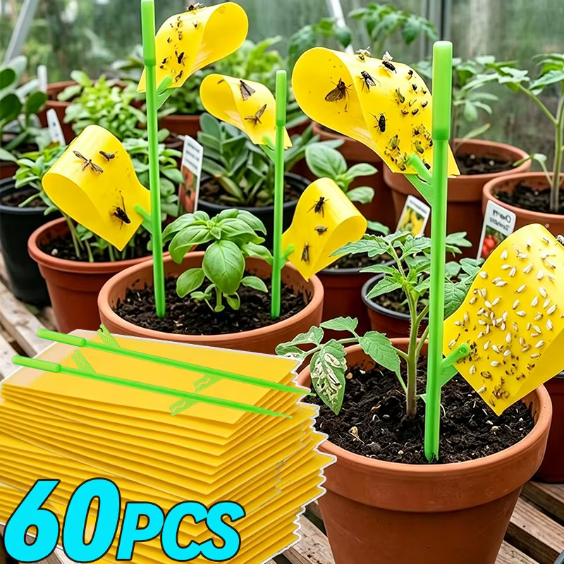 Pièges collants pour insectes 15/60x