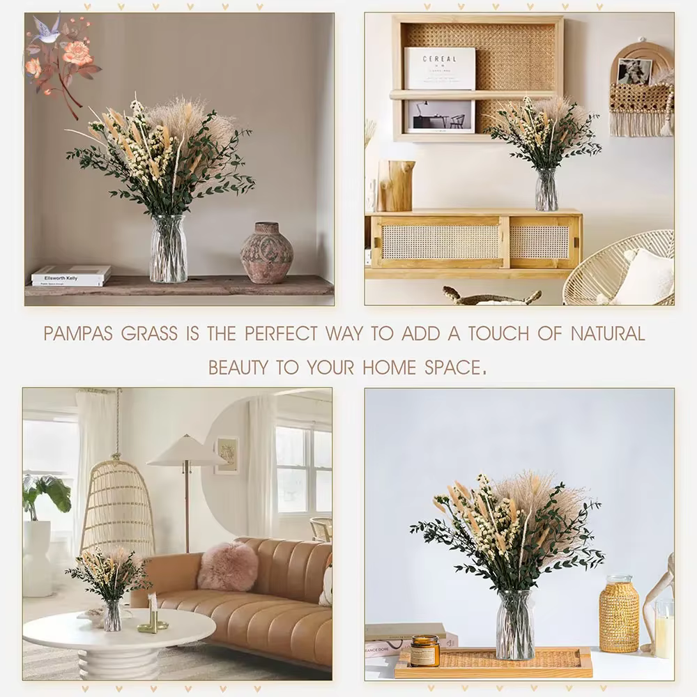 Ensemble de bouquets de fleurs d'eucalyptus Pampas séchées naturelles