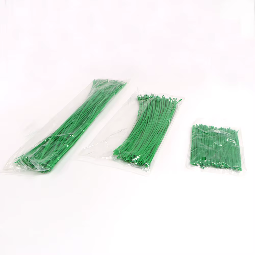 Plante grimpante de vigne verte