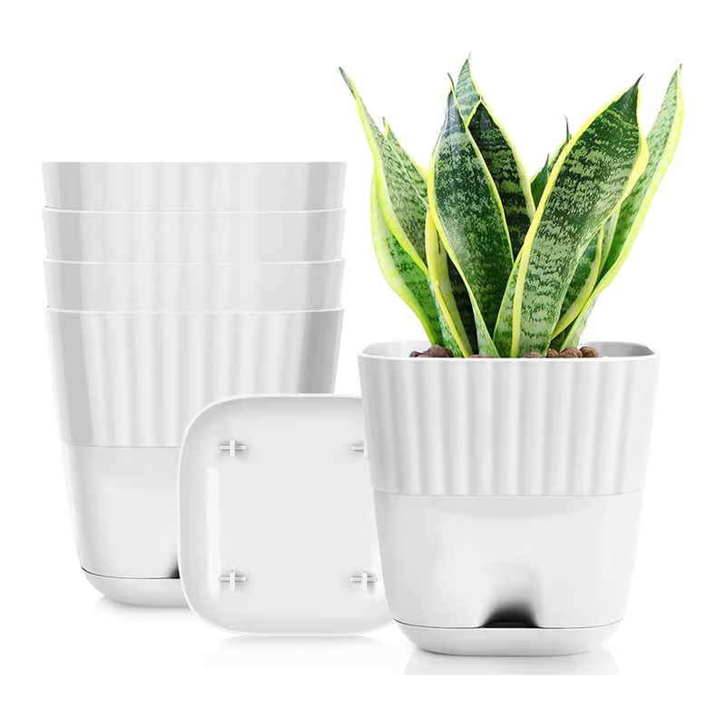 Pots de fleurs 6 pouces