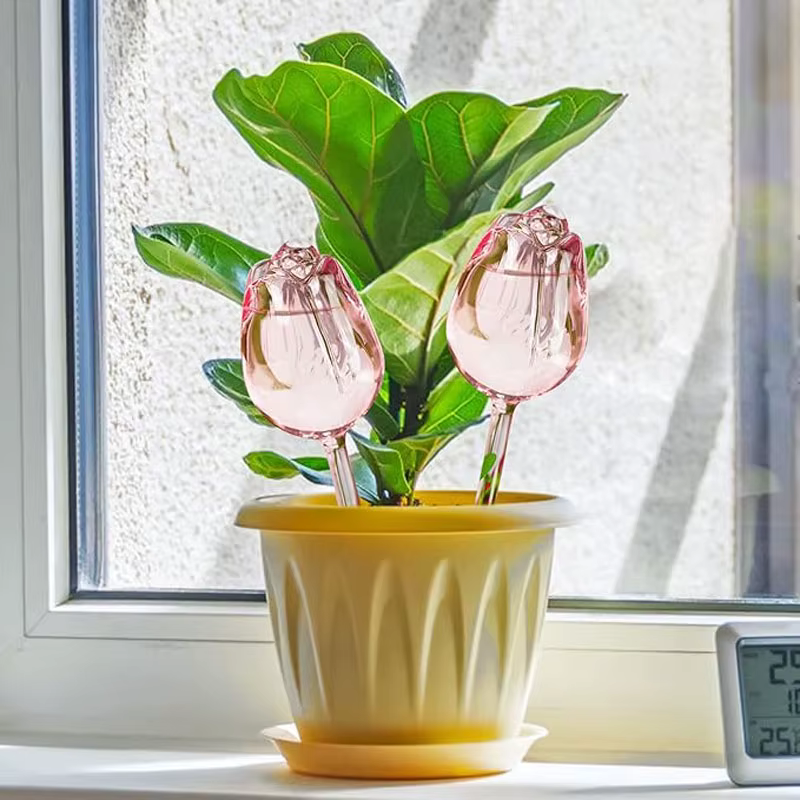 Boule d'arrosage automatique pour plantes de tulipes roses de jardin