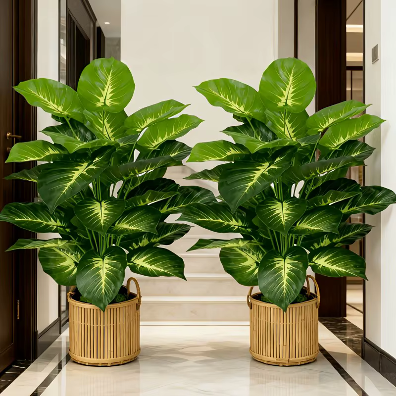2 Grands Palmiers Artificiels Dieffenbachia à Feuilles Jaunes Réalistes