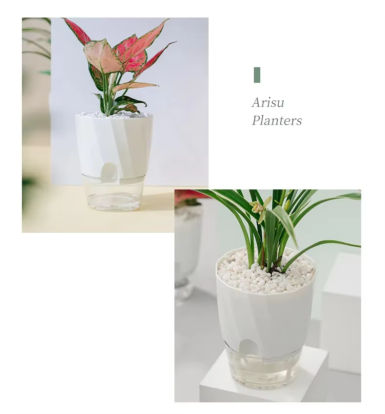 Pot d'arrosage automatique transparent