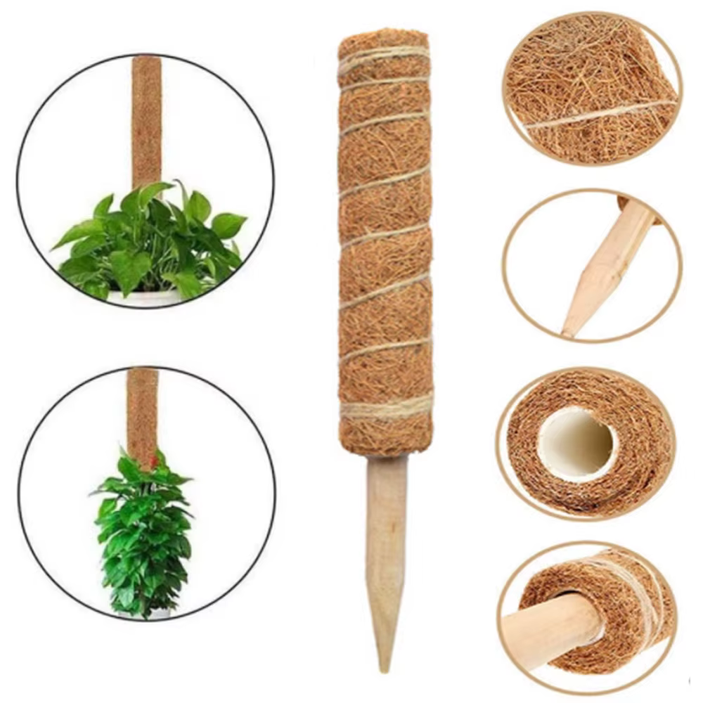 Poteau d'escalade pour plantes