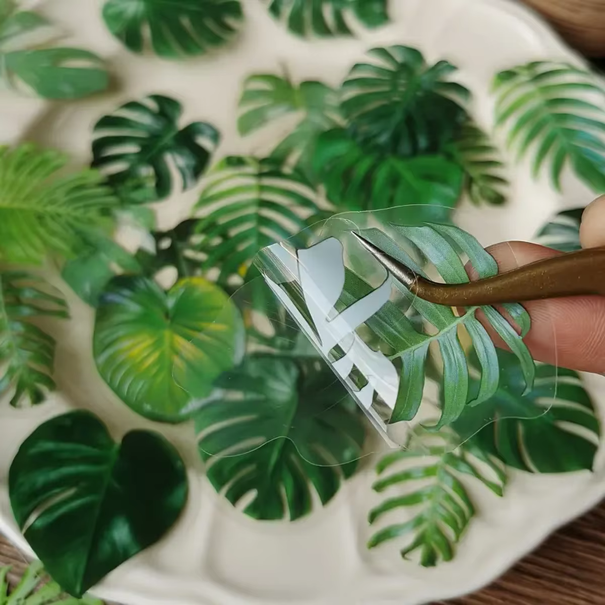 Autocollants transparents en PET pour plantes