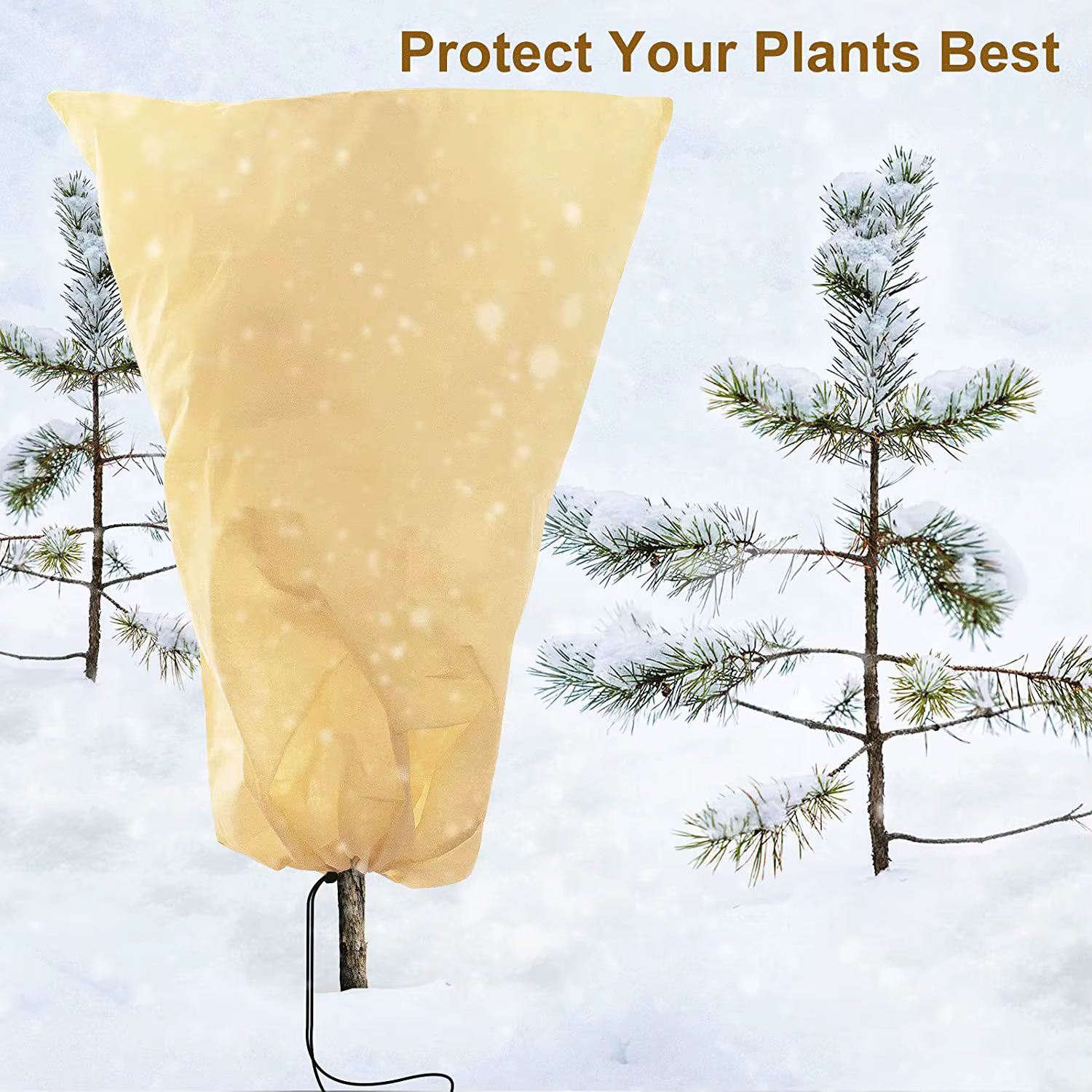 Protection contre le gel de couverture de plante