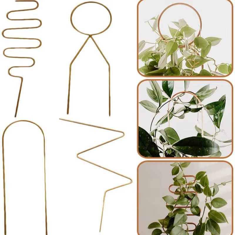 Support d'escalade de tige de plante