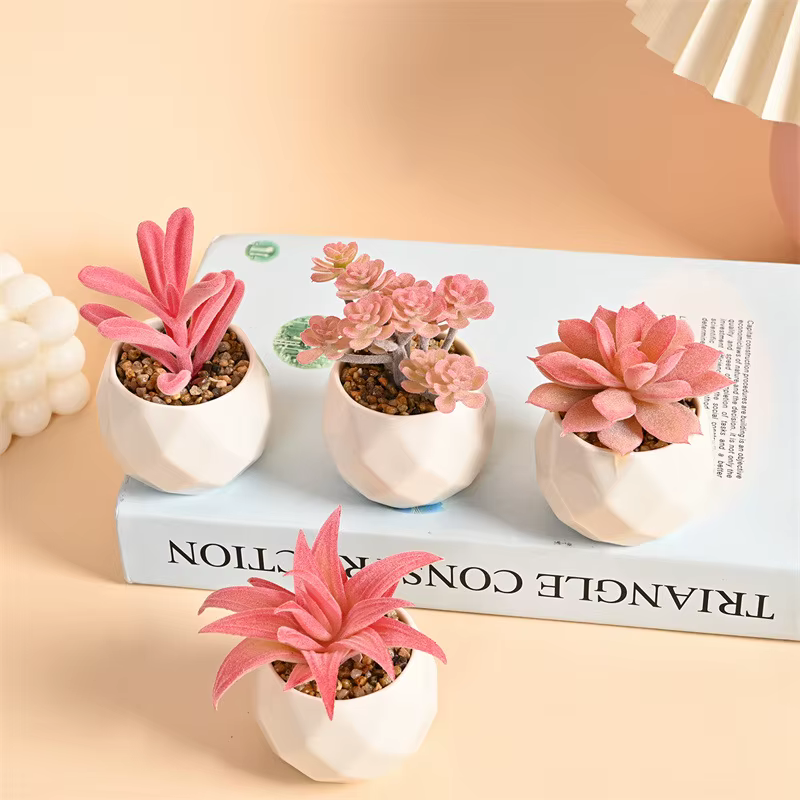 Ensemble de Mini plantes succulentes artificielles