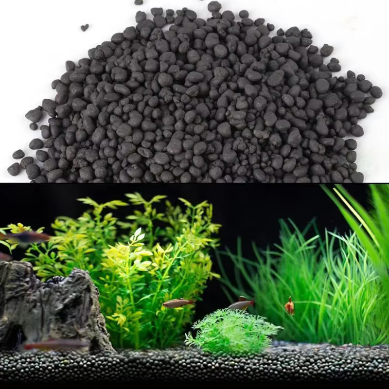 Herbe à eau pour plantes d'aquarium